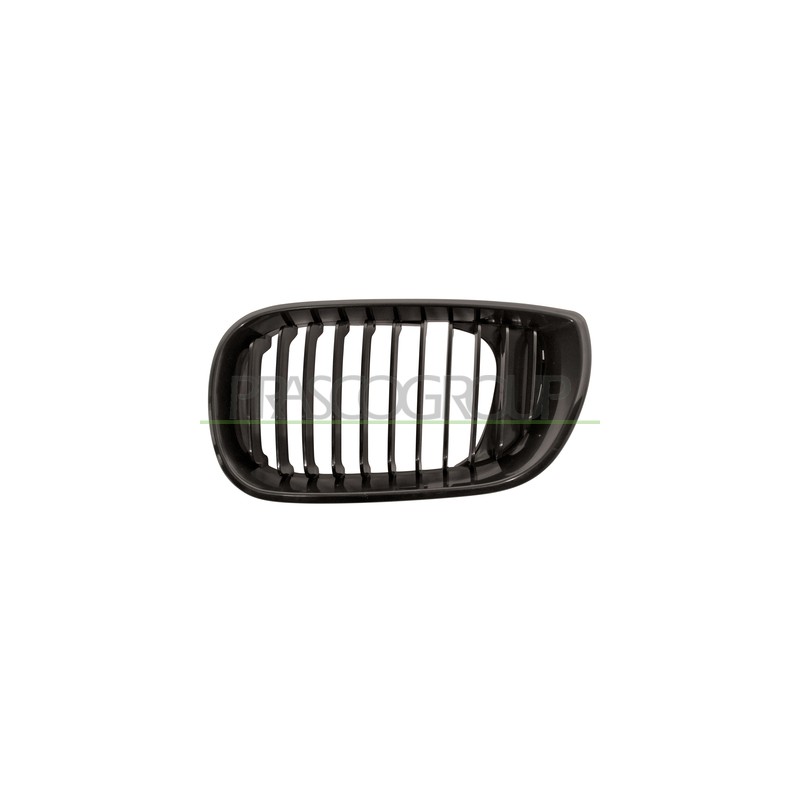 GRILLE NOIRE GAUCHE