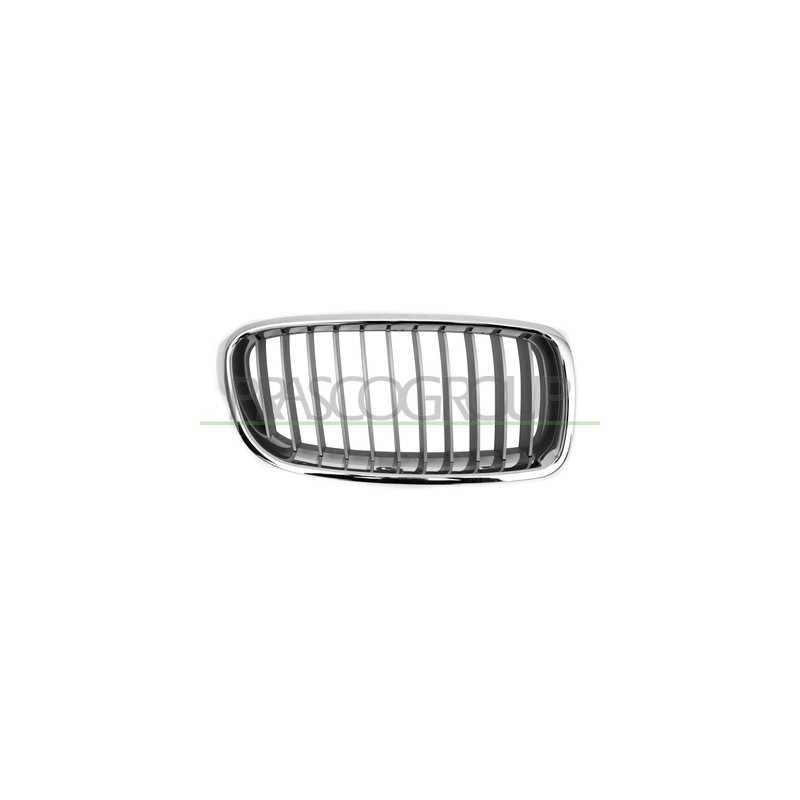 GRILLE DROITE PEINTE GRIS ARGENT AVEC GARNITURE CHROMÉE MOD.MODERN LI