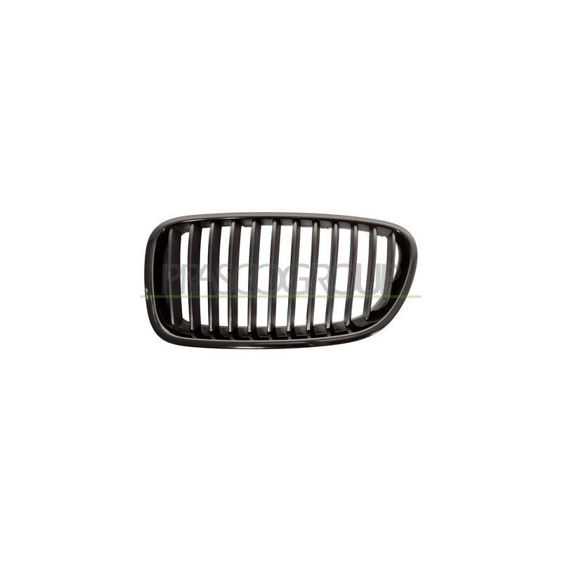 GRILLE NOIRE GAUCHE