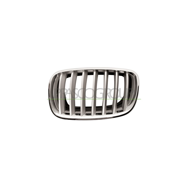 GRILLE GAUCHE-CHROME/TITANE1/07 -